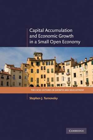 Capital Accumulation and Economic Growth in a Small Open Economy de Stephen J. Turnovsky