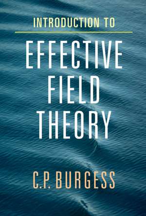 Introduction to Effective Field Theory: Thinking Effectively about Hierarchies of Scale de C. P. Burgess