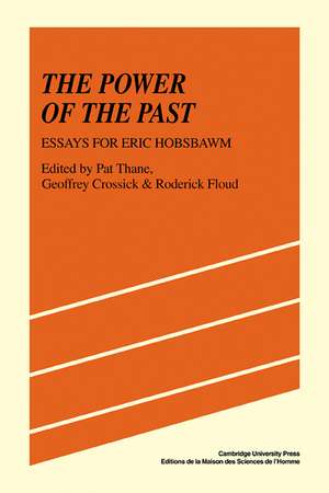 The Power of the Past: Essays for Eric Hobsbawm de Pat Thane