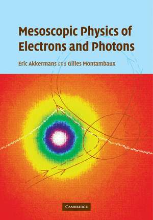 Mesoscopic Physics of Electrons and Photons de Eric Akkermans