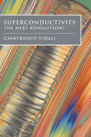 Superconductivity: The Next Revolution? de Gianfranco Vidali