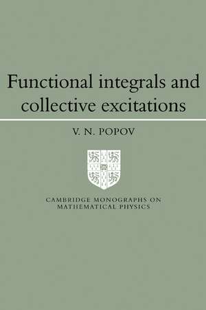 Functional Integrals and Collective Excitations de Victor Nikolaevich Popov