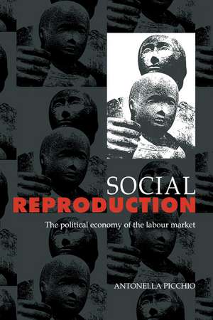 Social Reproduction: The Political Economy of the Labour Market de Antonella Picchio