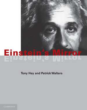 Einstein's Mirror de Tony Hey