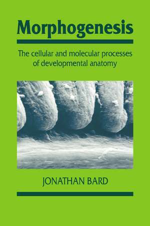 Morphogenesis: The Cellular and Molecular Processes of Developmental Anatomy de Jonathan Bard