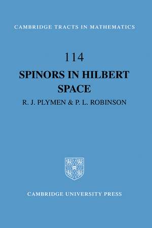 Spinors in Hilbert Space de Roger Plymen