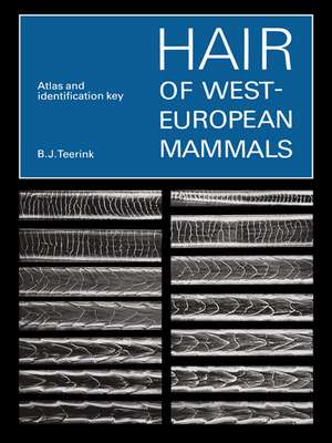 Hair of West European Mammals: Atlas and Identification Key de B. J. Teerink