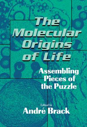 The Molecular Origins of Life: Assembling Pieces of the Puzzle de Andri Brack