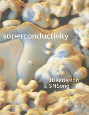 Superconductivity de J. B. Ketterson