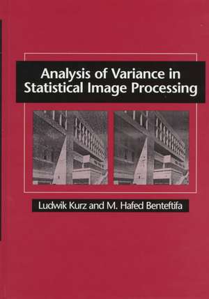 Analysis of Variance in Statistical Image Processing de Ludwik Kurz