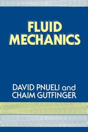 Fluid Mechanics de David Pnueli