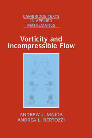 Vorticity and Incompressible Flow de Andrew J. Majda