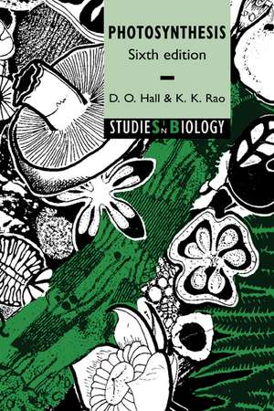 Photosynthesis de David O. Hall