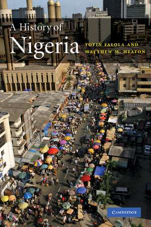 A History of Nigeria de Toyin Falola