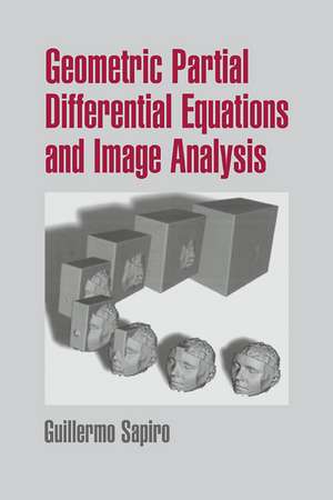 Geometric Partial Differential Equations and Image Analysis de Guillermo Sapiro