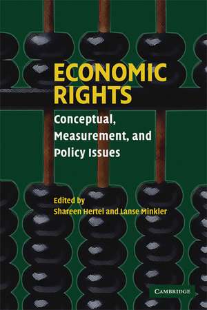 Economic Rights: Conceptual, Measurement, and Policy Issues de Shareen Hertel