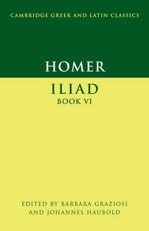 Homer de Johannes Haubold