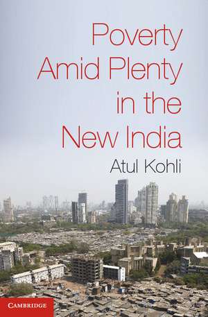 Poverty amid Plenty in the New India de Atul Kohli