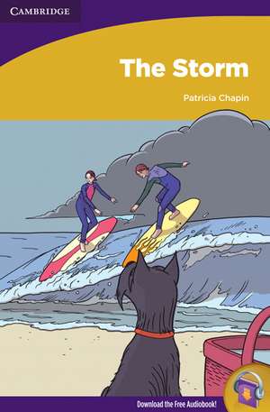 The Storm de Patricia Chapin