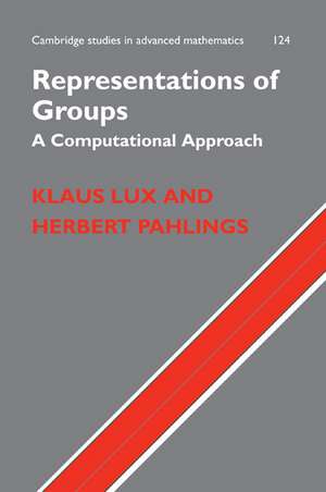 Representations of Groups: A Computational Approach de Klaus Lux