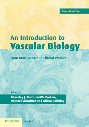 An Introduction to Vascular Biology: From Basic Science to Clinical Practice de Beverley J. Hunt