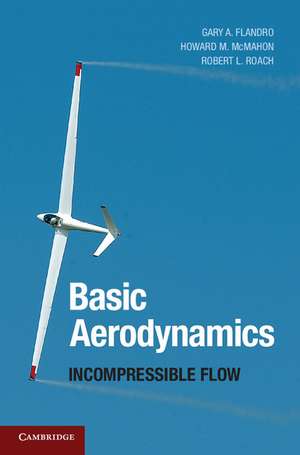 Basic Aerodynamics: Incompressible Flow de Gary A. Flandro