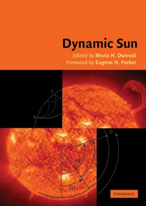 Dynamic Sun de B. N. Dwivedi