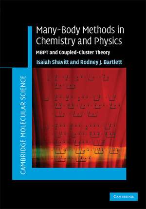 Many-Body Methods in Chemistry and Physics: MBPT and Coupled-Cluster Theory de Isaiah Shavitt