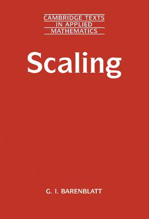Scaling de Grigory Isaakovich Barenblatt