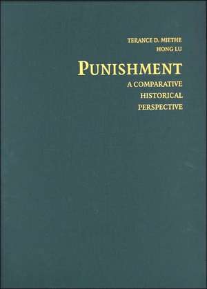 Punishment de Terance D Miethe