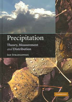 Precipitation: Theory, Measurement and Distribution de Ian Strangeways