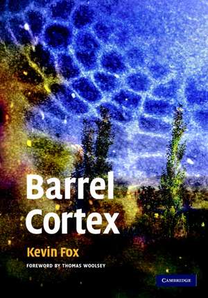 Barrel Cortex de Kevin Fox