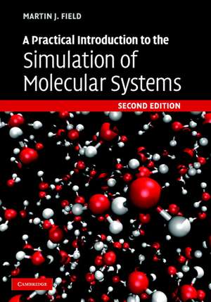 A Practical Introduction to the Simulation of Molecular Systems de Martin J. Field