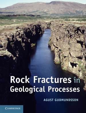 Rock Fractures in Geological Processes de Agust Gudmundsson