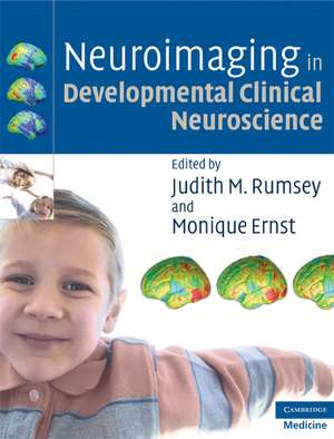 Neuroimaging in Developmental Clinical Neuroscience de Judith M. Rumsey