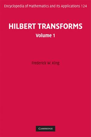 Hilbert Transforms: Volume 1 de Frederick W. King