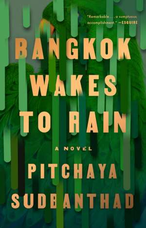 Bangkok Wakes to Rain de Pitchaya Sudbanthad