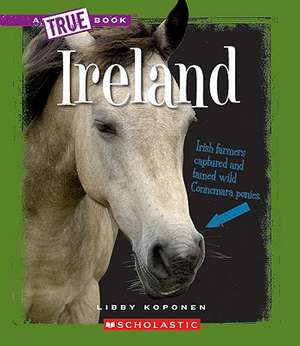 Ireland de Libby Koponen