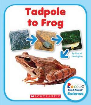 Tadpole to Frog de Lisa M. Herrington