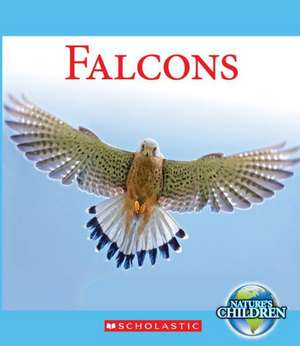 Falcons de Katie Marsico