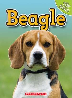 Beagle de Charles George