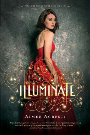 Illuminate: A Gilded Wings Novel, Book One de Aimee Agresti