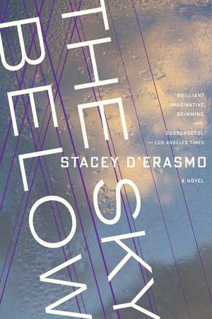 The Sky Below de Stacey D'Erasmo