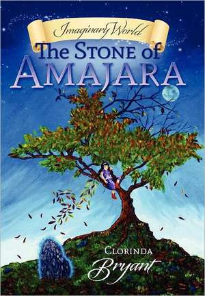 Imaginary World: The Stone of Amajara de Clorinda Bryant