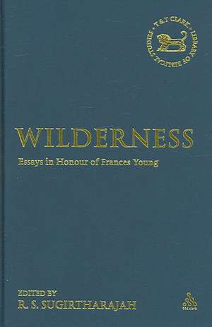 Wilderness: Essays in Honour of Frances Young de Professor R. S. Sugirtharajah