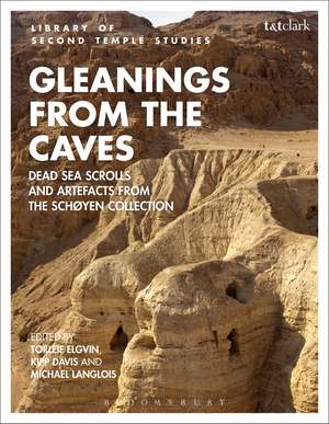 Gleanings from the Caves: Dead Sea Scrolls and Artefacts from the Schøyen Collection de Dr. Torleif Elgvin