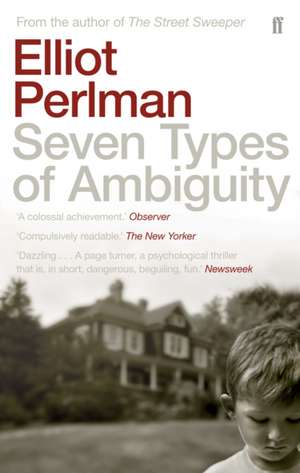 Seven Types of Ambiguity de Elliot Perlman