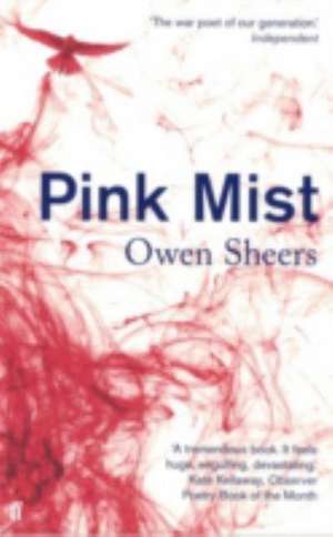 Pink Mist de Owen Sheers