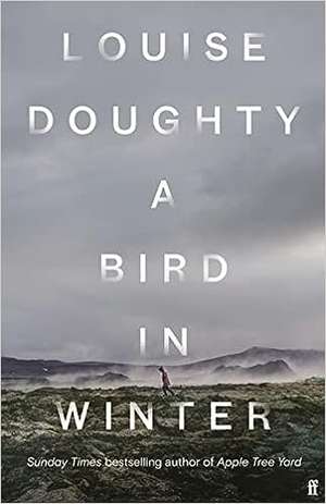 A Bird in Winter de Louise Doughty