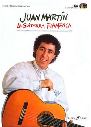 La Guitarra Flamenca de Juan Martin